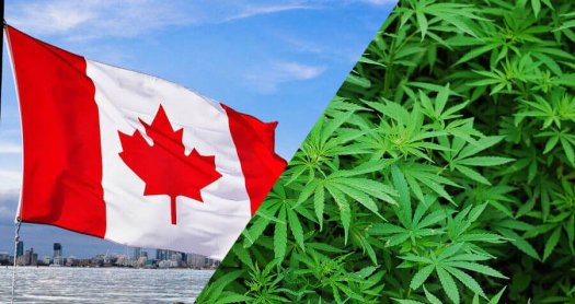 canada y la marihuana