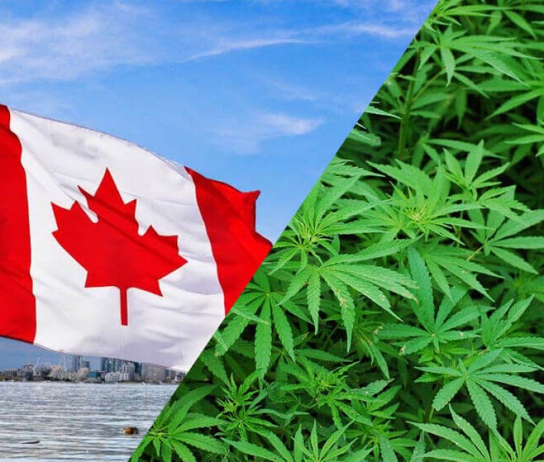 canada y la marihuana
