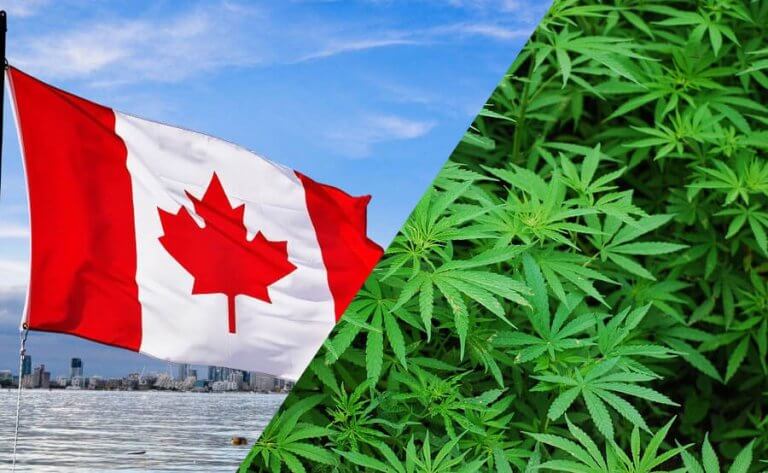 canada y la marihuana