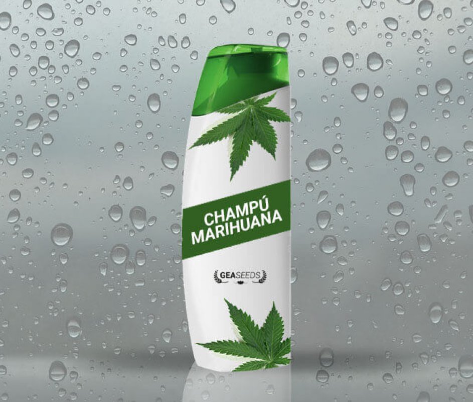 champú de marihuana