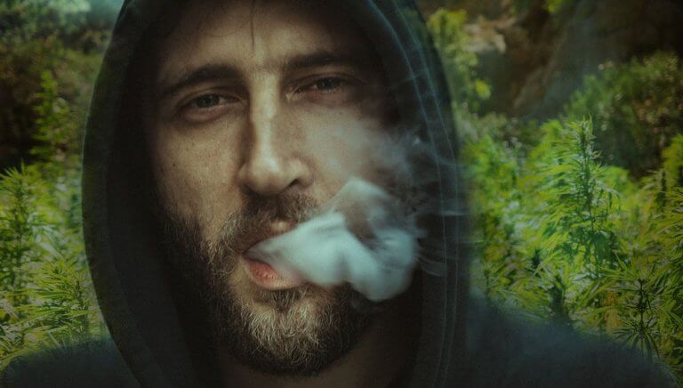 efectos del cannabis en el cuerpo humano