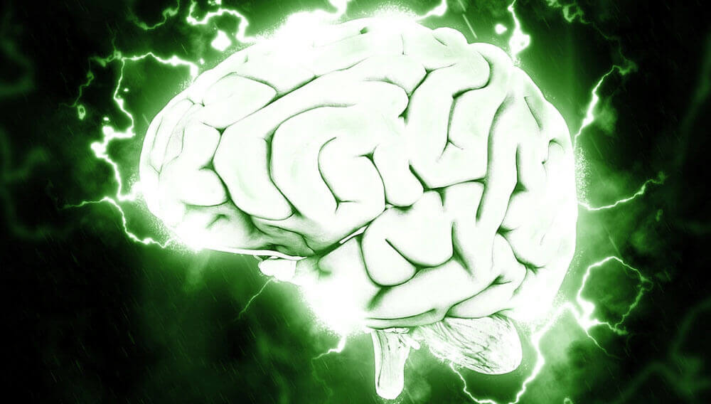 marijuana brain effects
