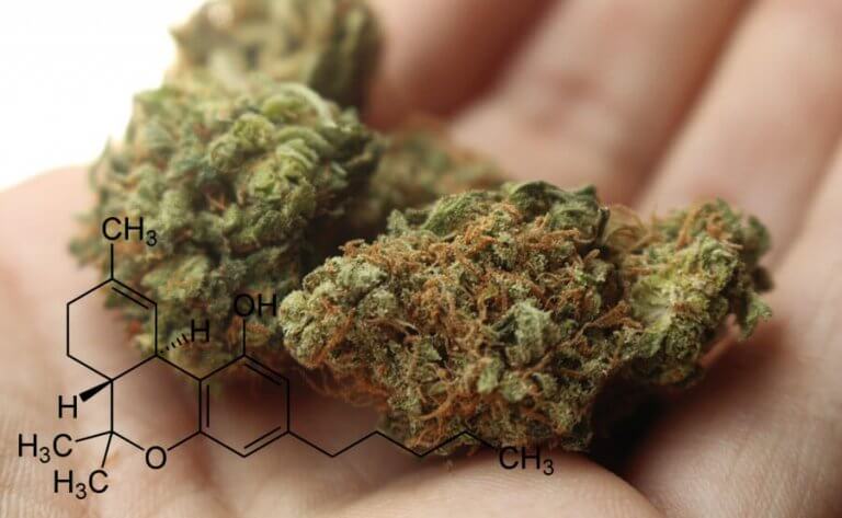 marihuana con thc