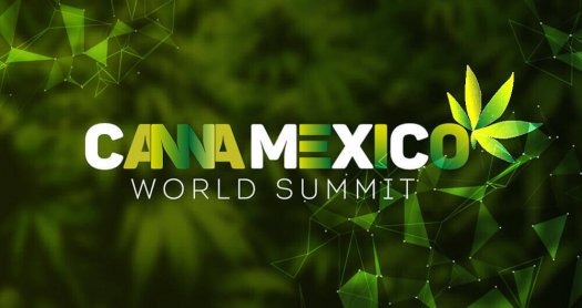 CannaMexico