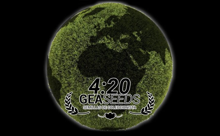 HISTÓRIA DE 4:20 WEED