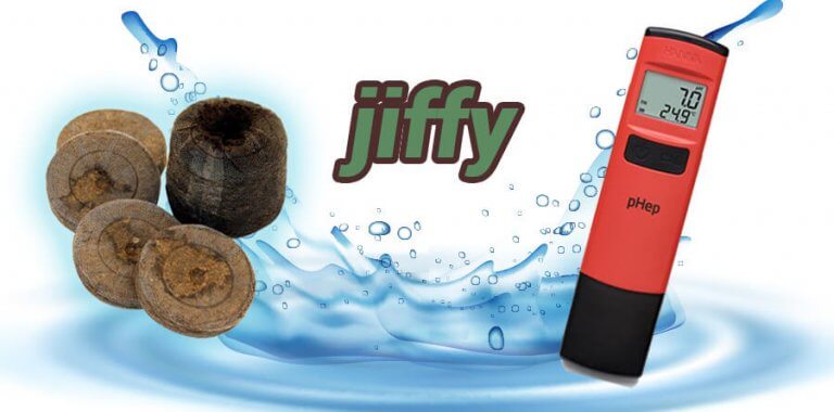 O JIFFY – GERMINAR EM JIFFYS, PERFEITA EXPLICAÇÃO