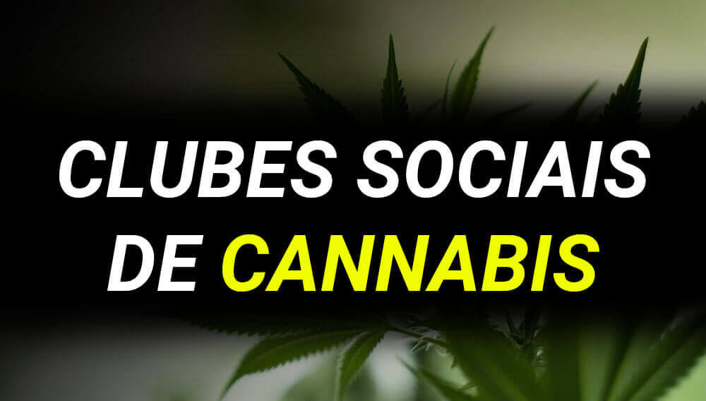 Clubes sociais cannabis