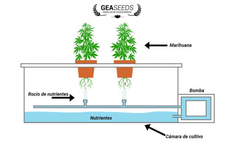 Estructura cultivo aeropónico