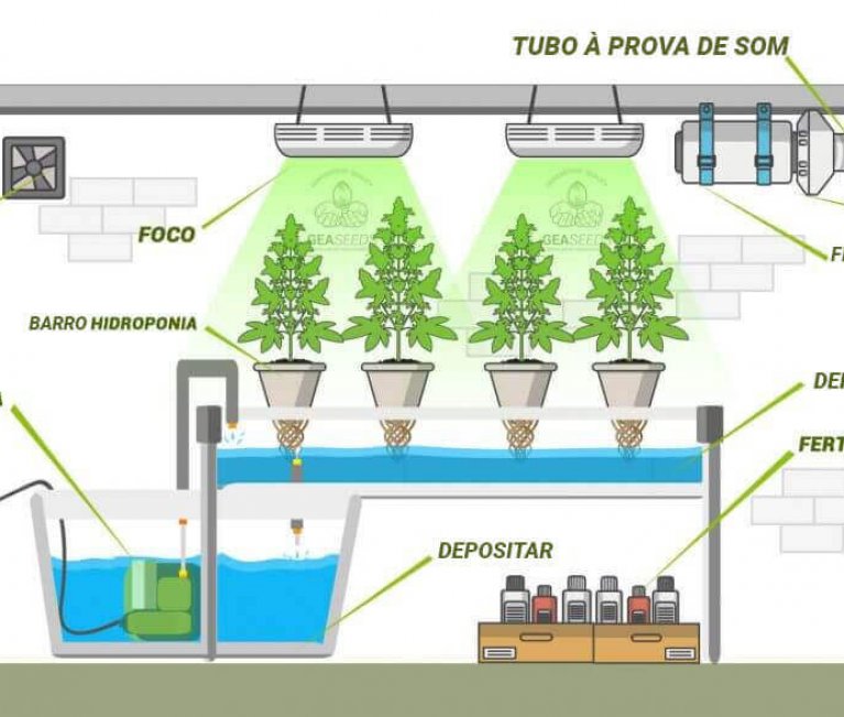 What Is Hydroponics A Simple Introduction