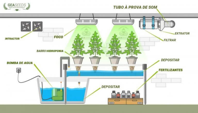 Como preparar um cultivo hidropônico