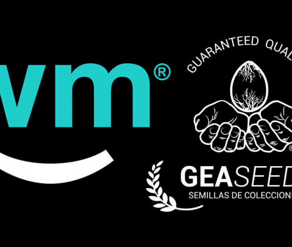Weedmaps Gea Seeds