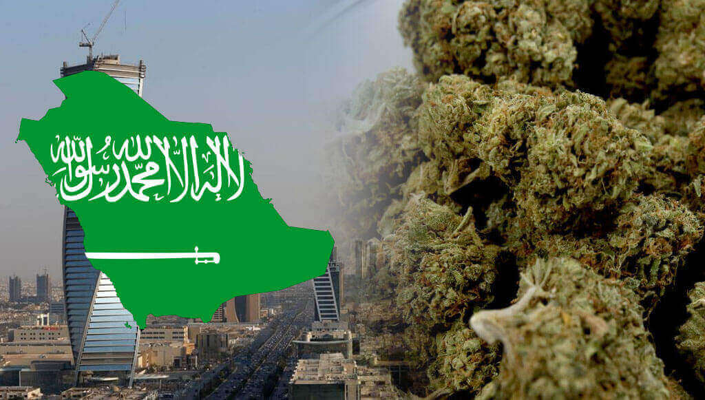 Saudi Arabia  and weed