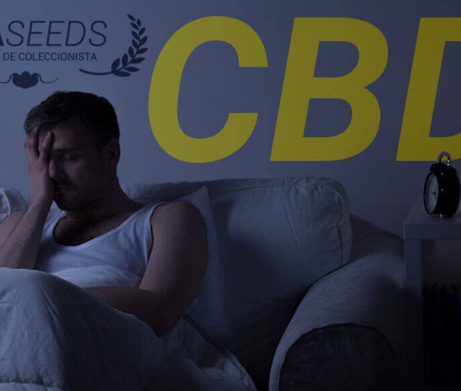 CBD CONTRA INSÔNIA