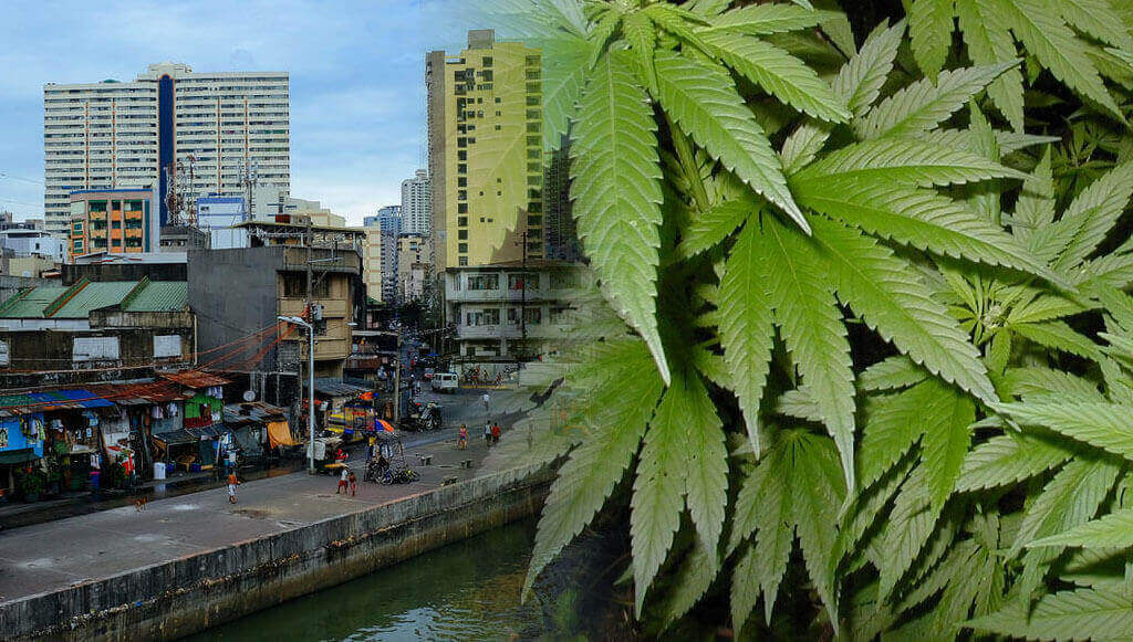 Philippines and marijuana