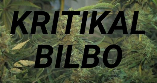 Kritikal bilbo