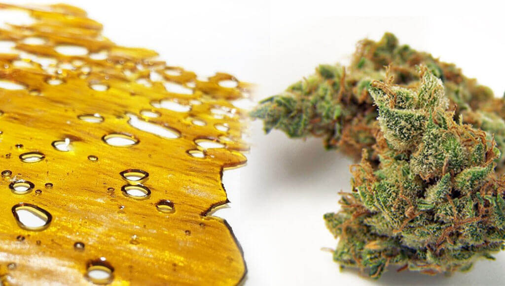 Shatter and buds
