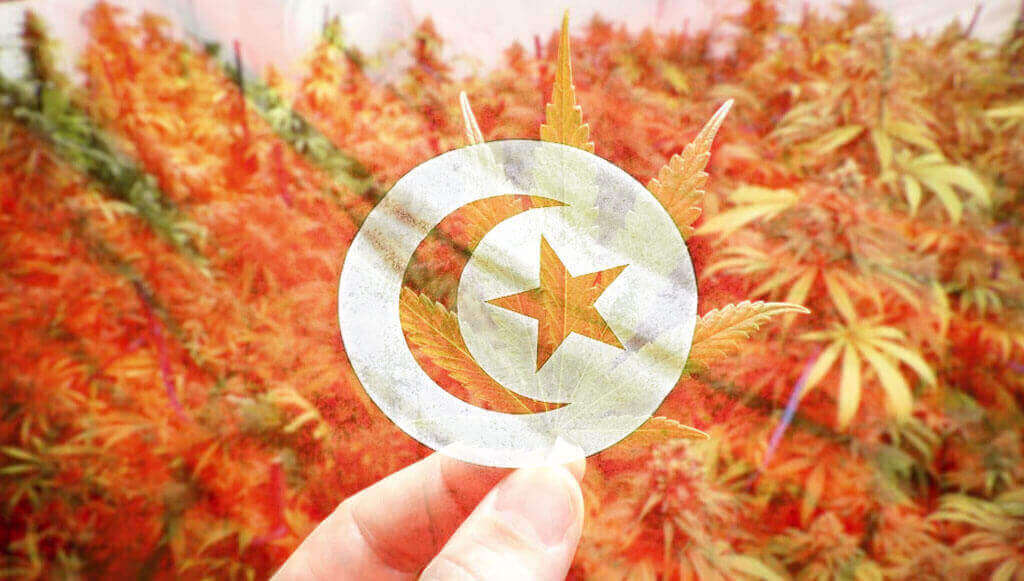 Tunisia and marijuana