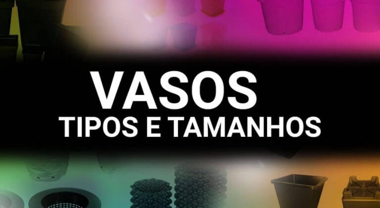 Vasos Tipos e Tamanhos