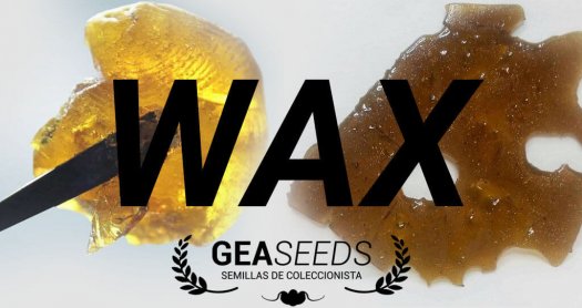Wax