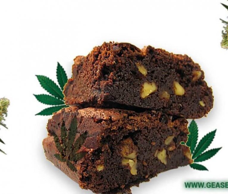 Brownie Cannabis