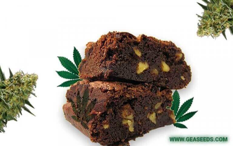 Brownie Cannabis