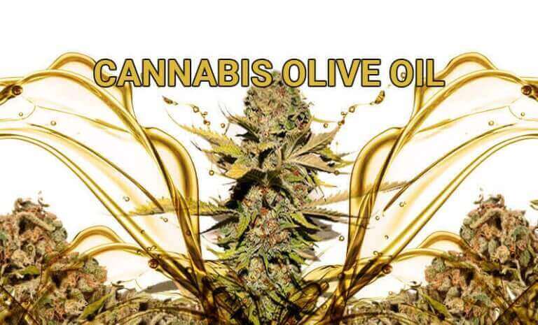Cannabis Olive Oil