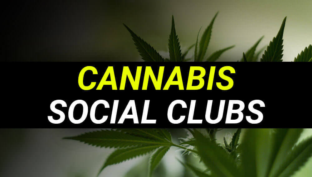 Cannabis Social Clubs