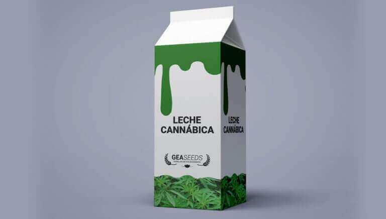 leche cannábica