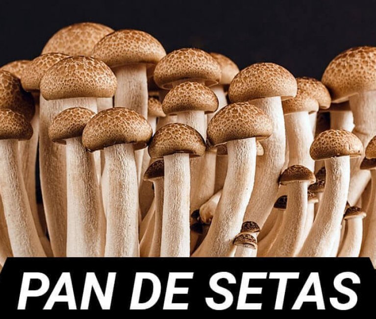 Pan de setas