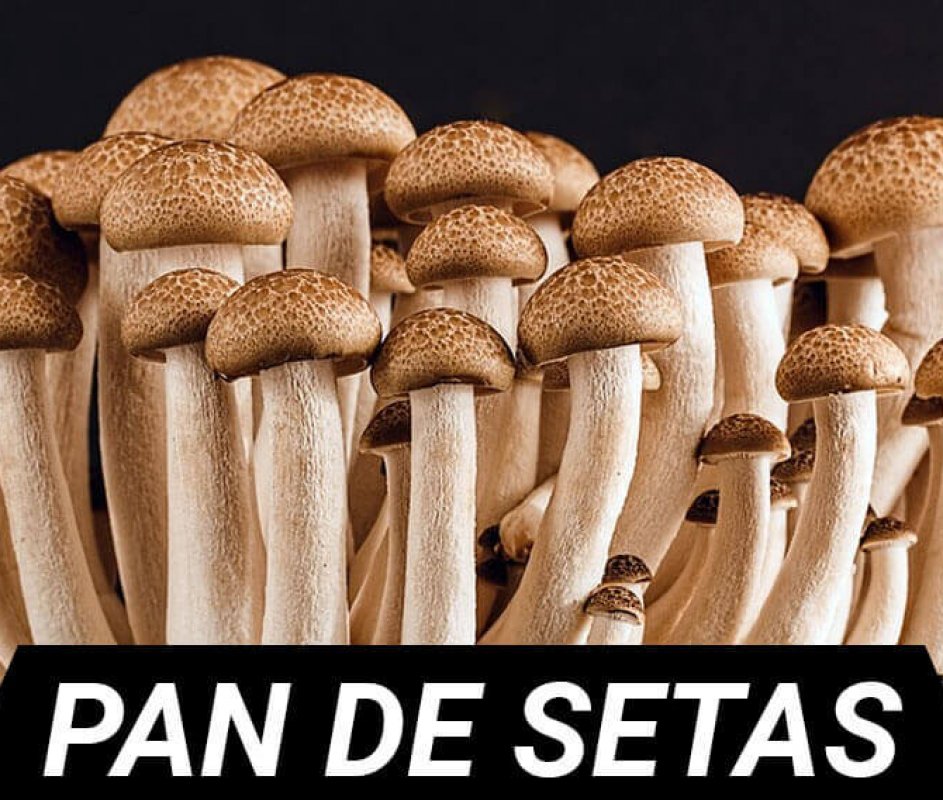 Pan de setas
