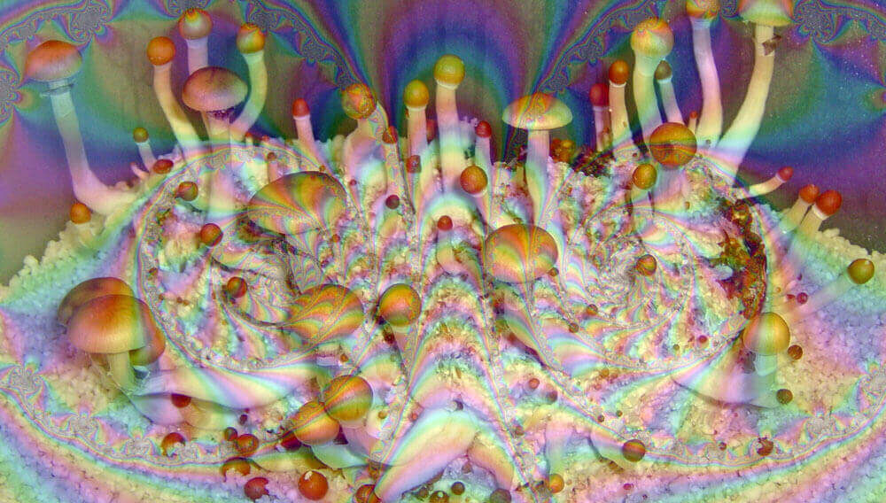 Hallucinogenic mushroom effects