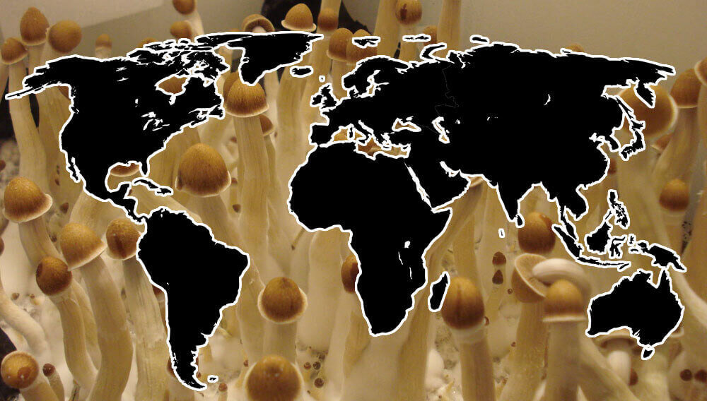 Localization mushrooms