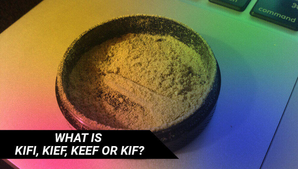 What is kifi