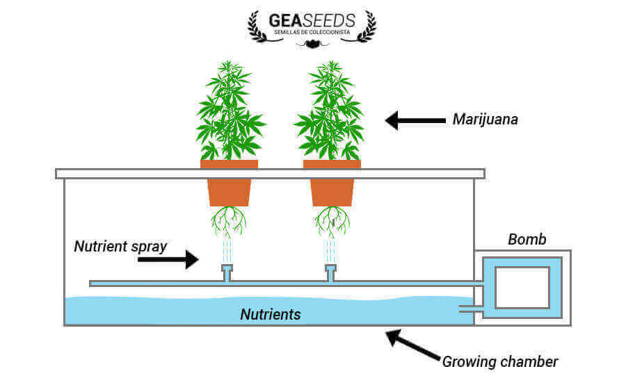 Aeroponic cultivation structure