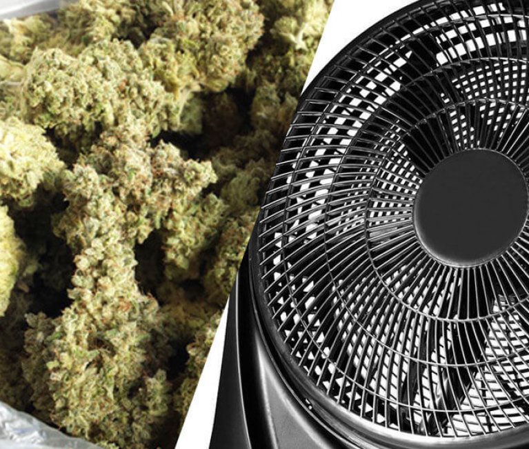 HOW TO DRY MARIJUANA BUDS – FAST AND EFFECTIVE