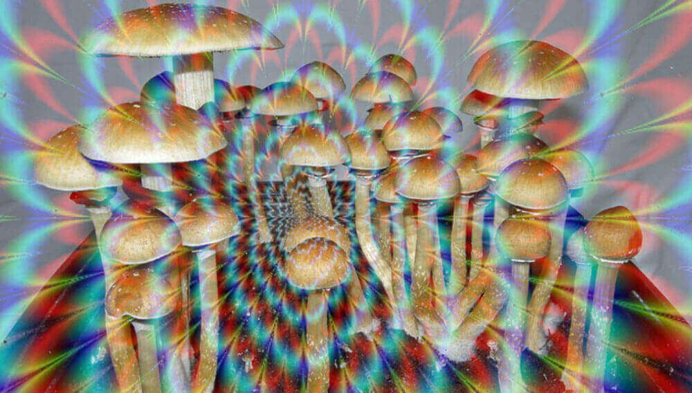 Mushroom hallucination effects