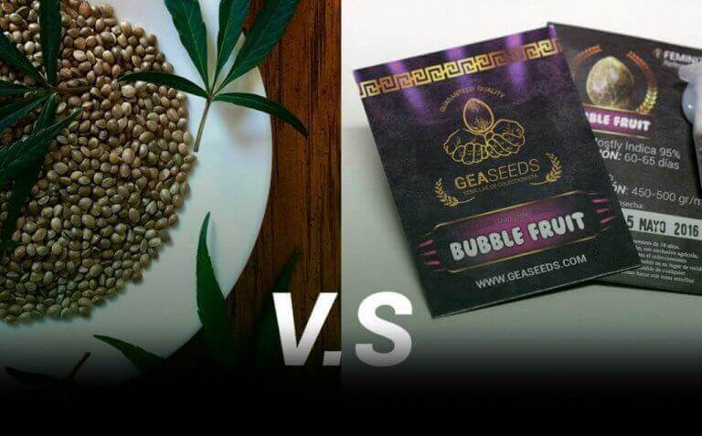 seeds in bulk or packaged