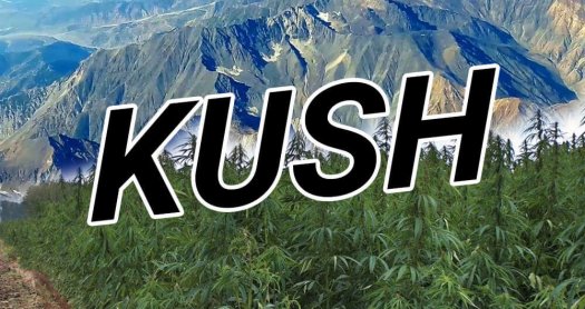 kush