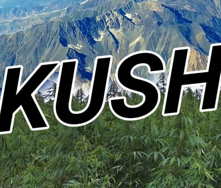 kush