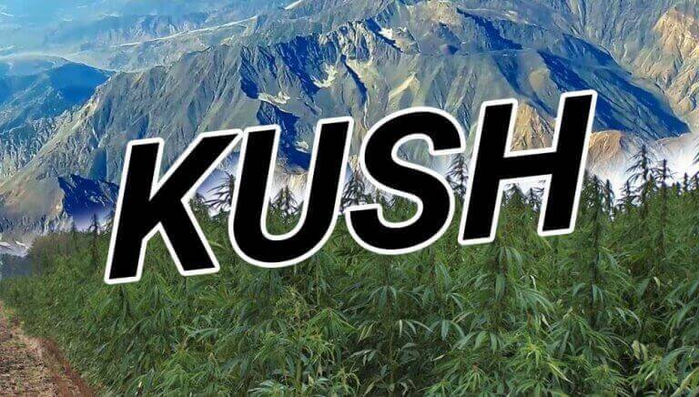 kush