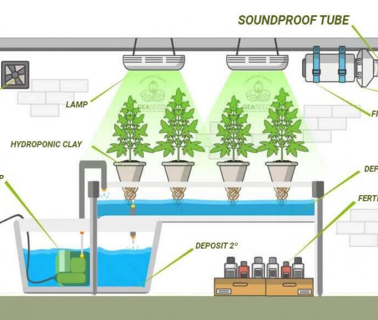hydroponic