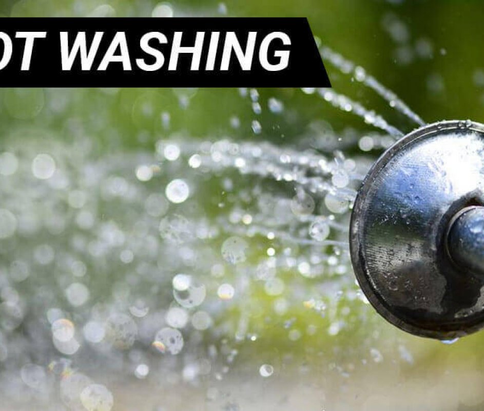 root washing