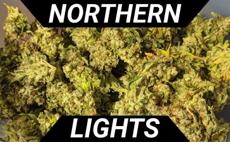 northern lights