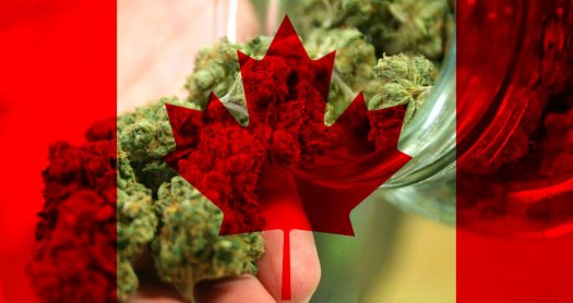 marihuana y canadá