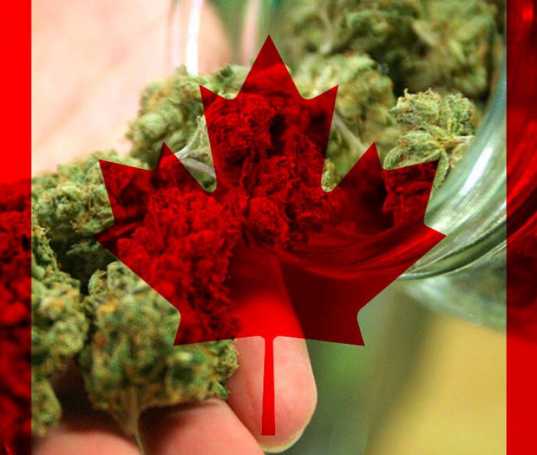 marihuana y canadá
