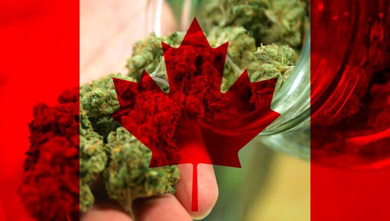 marihuana y canadá