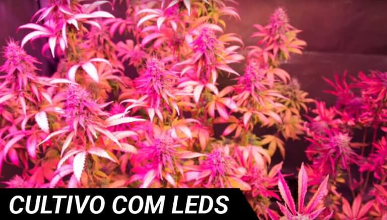 Crescendo com LEDs