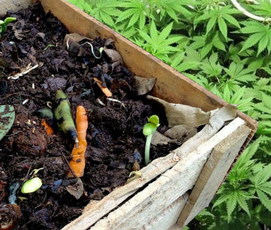fertilizante casero