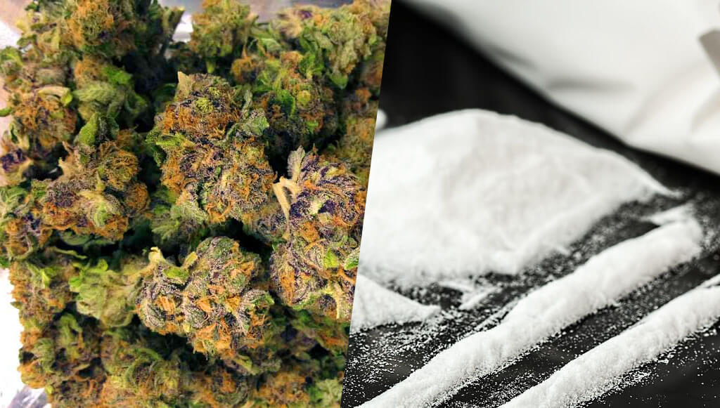 marijuana and cocaine