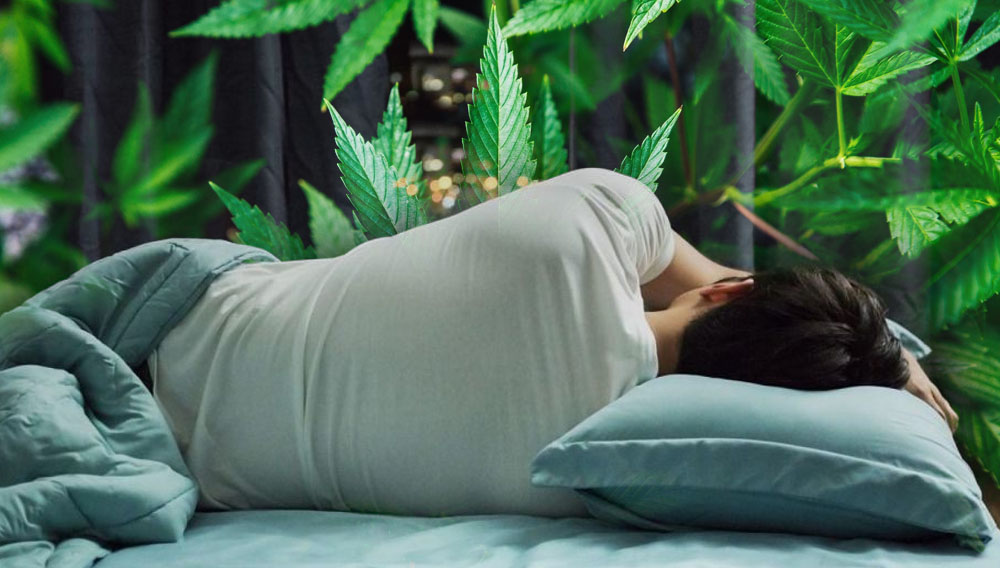 marihuana y dormir